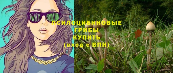 гидра Михайлов