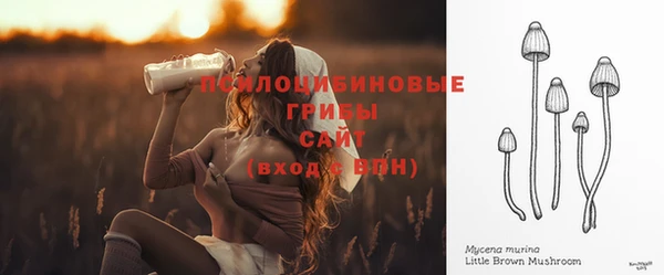 гидра Михайлов